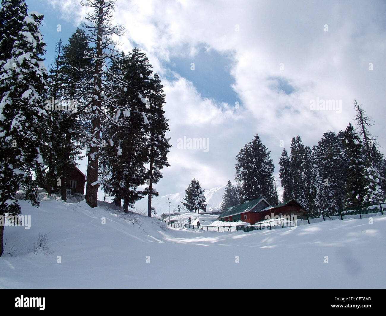 A beautiful view of snow covered trees and houses in gulmarg kashmir famous in whole world