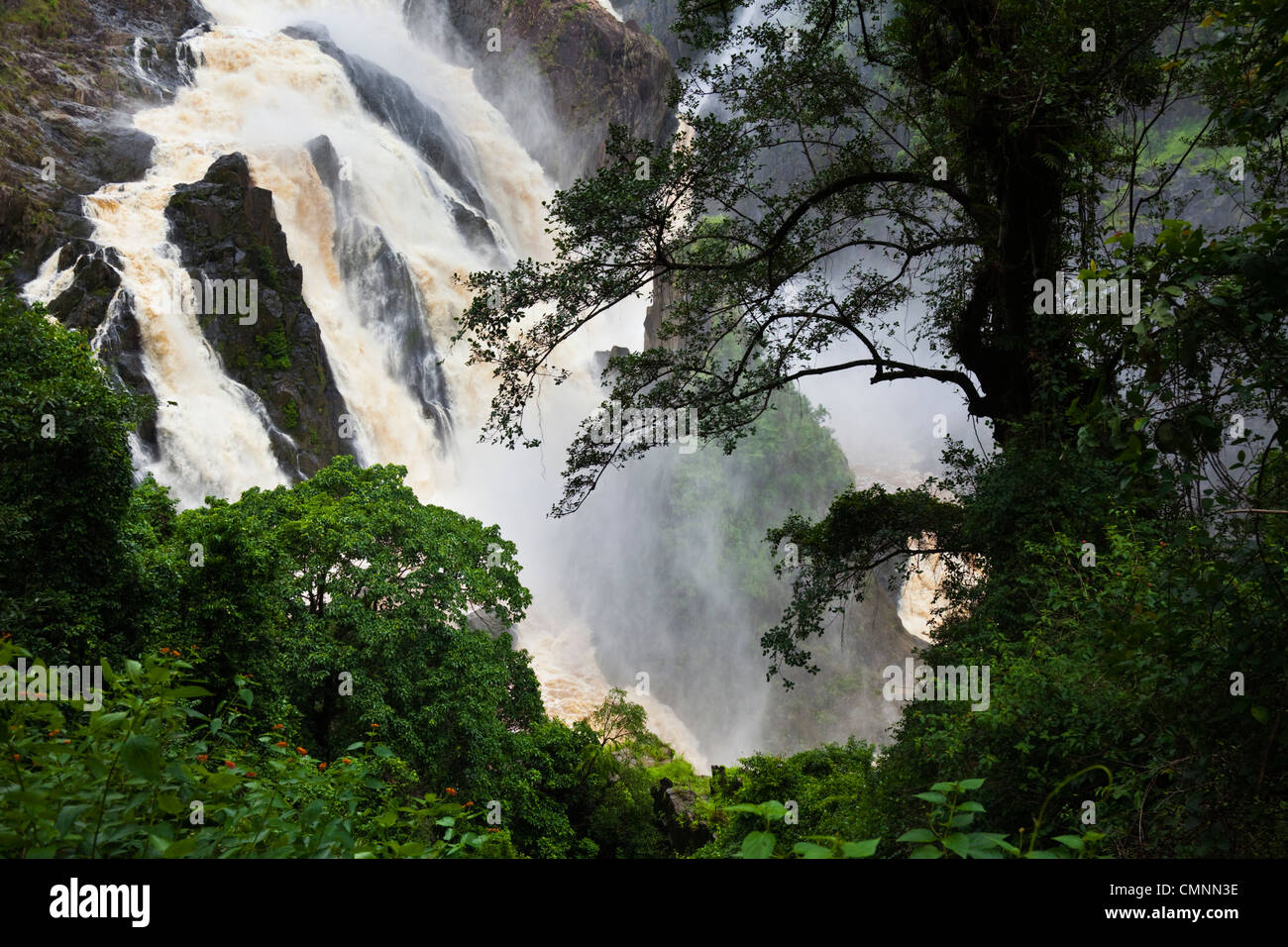 Barron Falls during the rainy season. Kuranda, Cairns, Queensland Stock Photo, Royalty Free