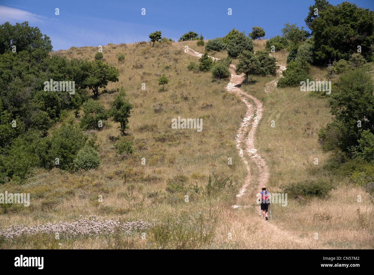 France, Ardeche, Plateau du Coiron, Saint Jean le Centenier, female