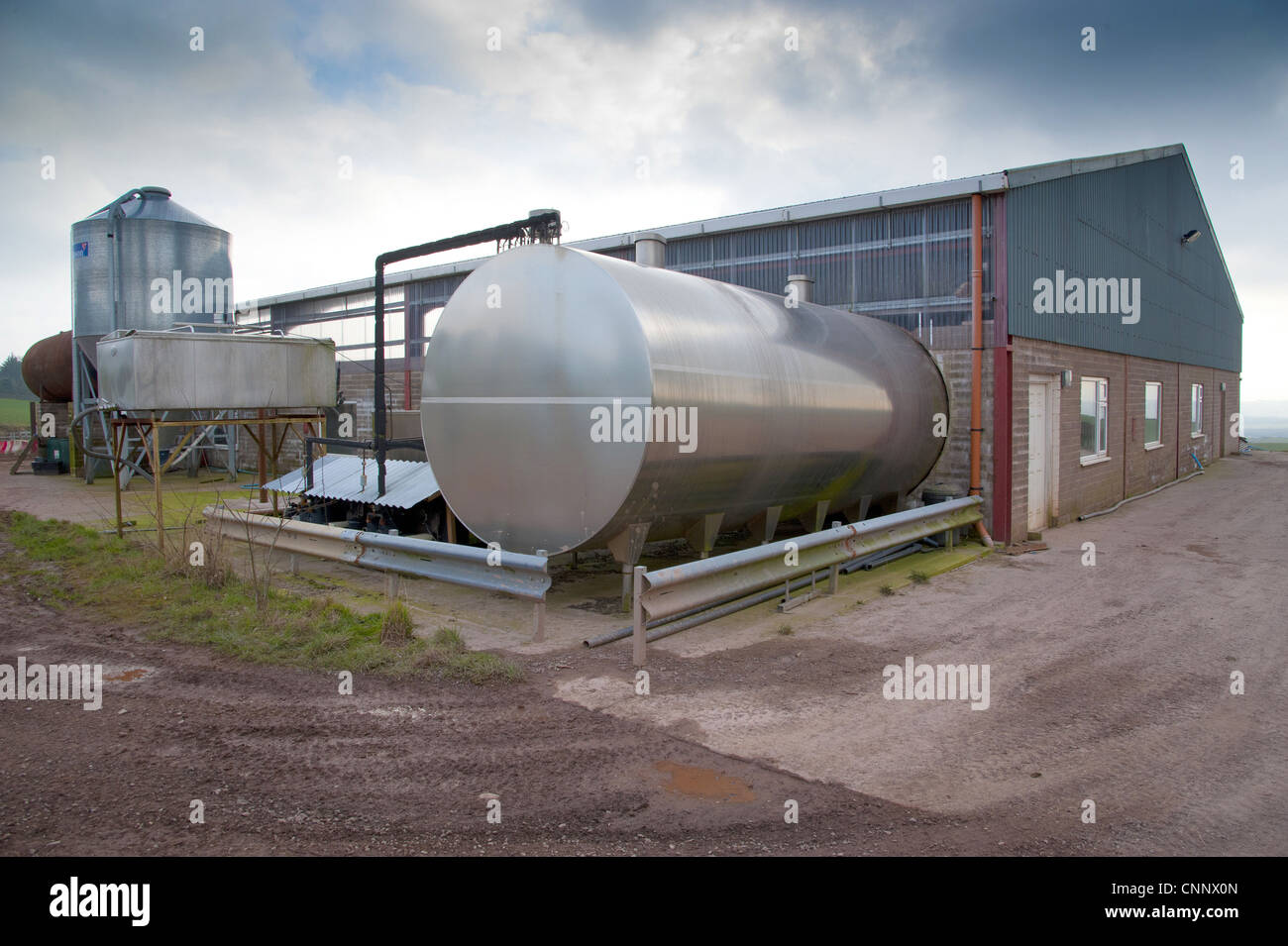 Dairy farming, bulk milk tank outside rotary parlour, Dumfries Stock