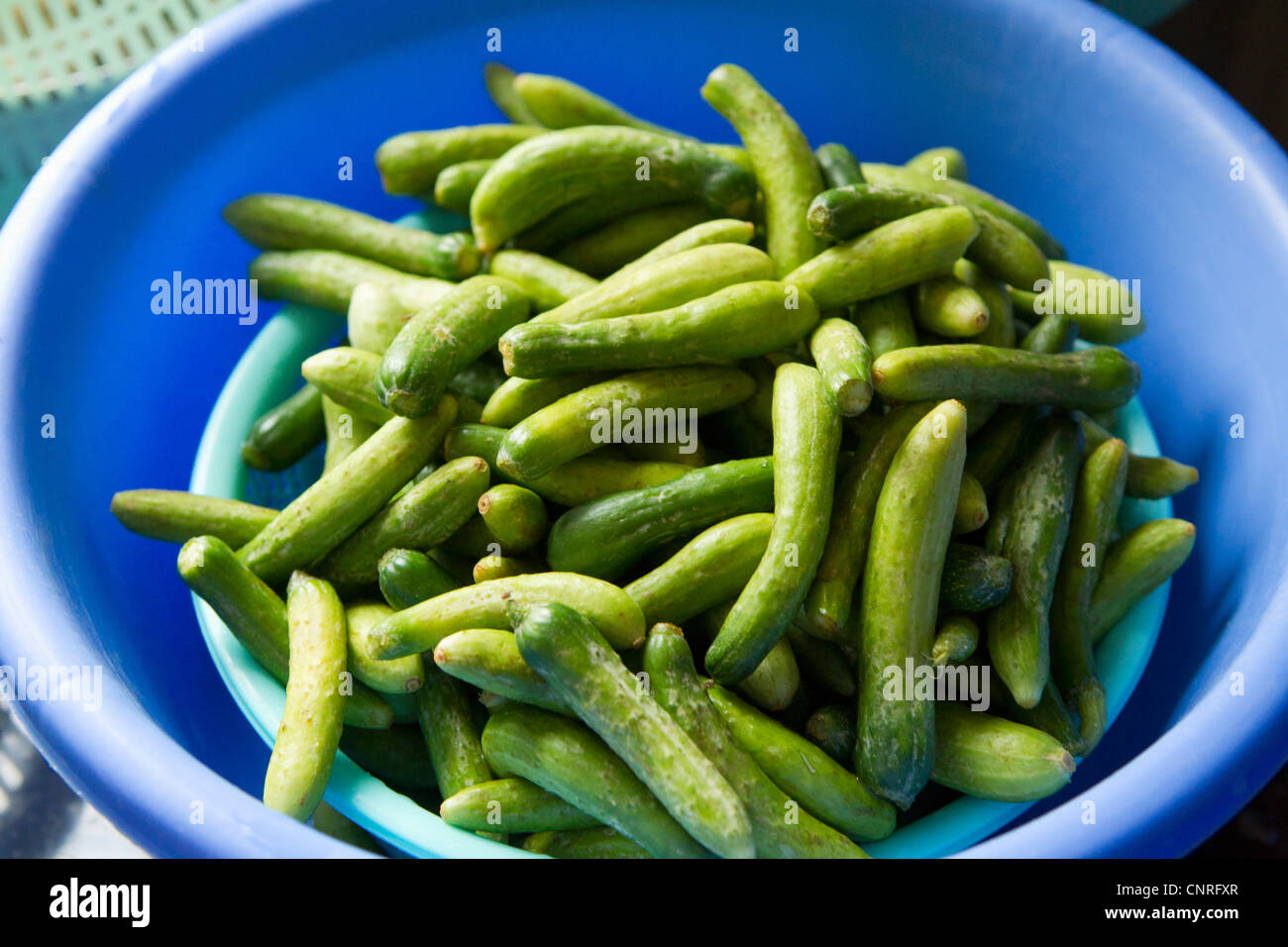 Gherkins Stock Photo, Royalty Free Image 47845919 Alamy
