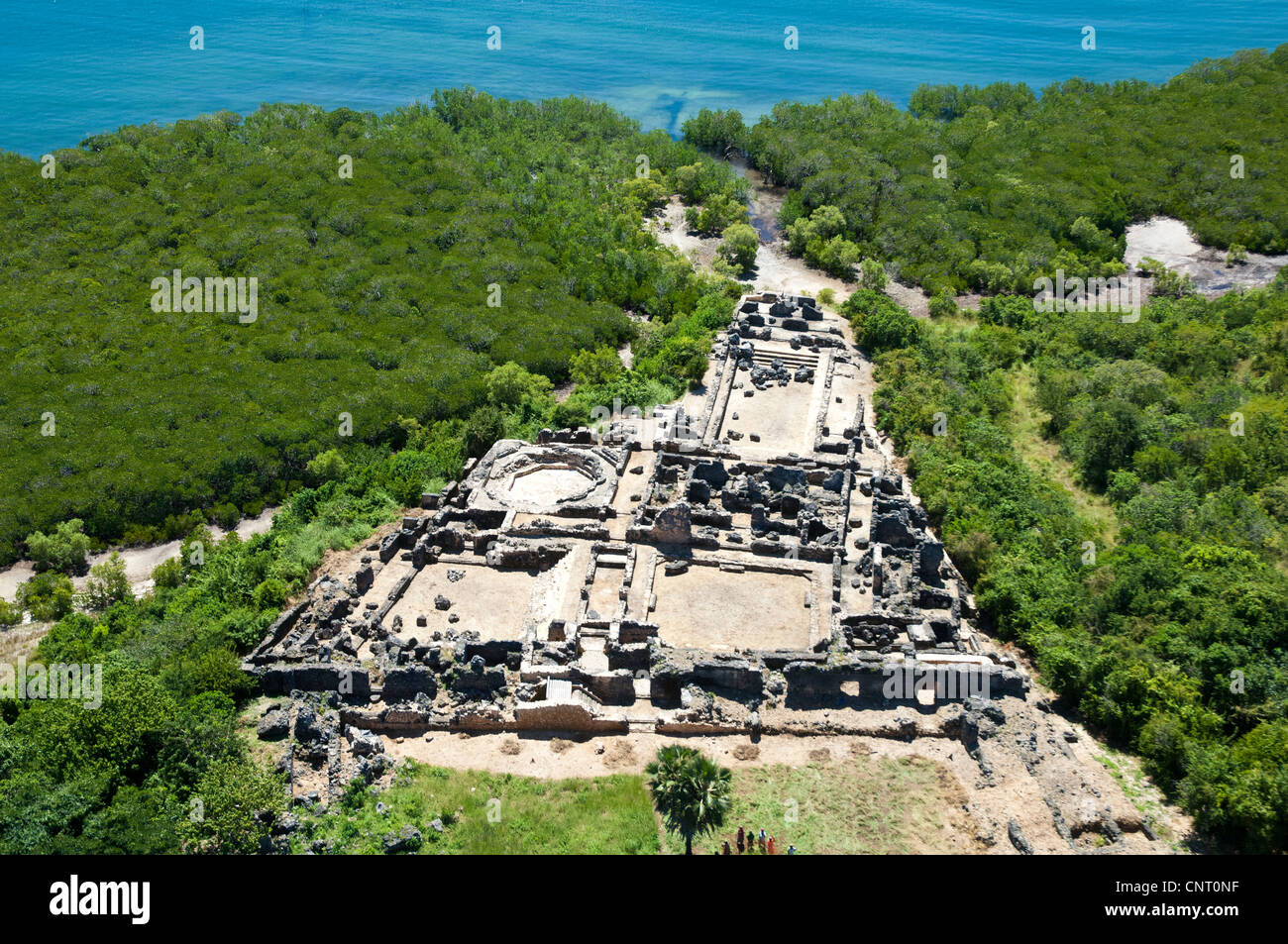 husuni-kubwa-sultans-palace-14th-century-kilwa-kisiwani-aerial-view-CNT0NF.jpg