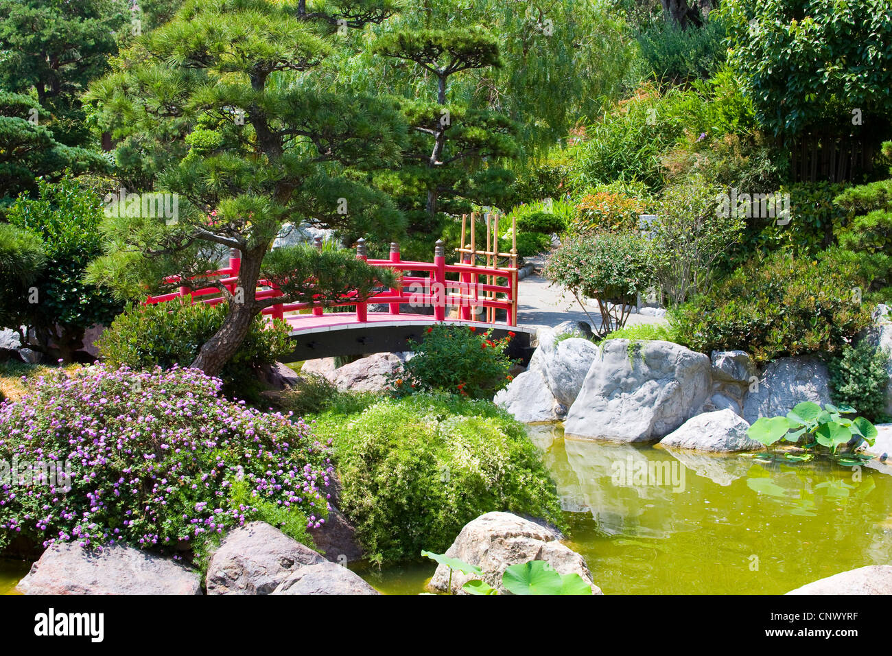  traditional  Japanese garden with wooden red bridge France 
