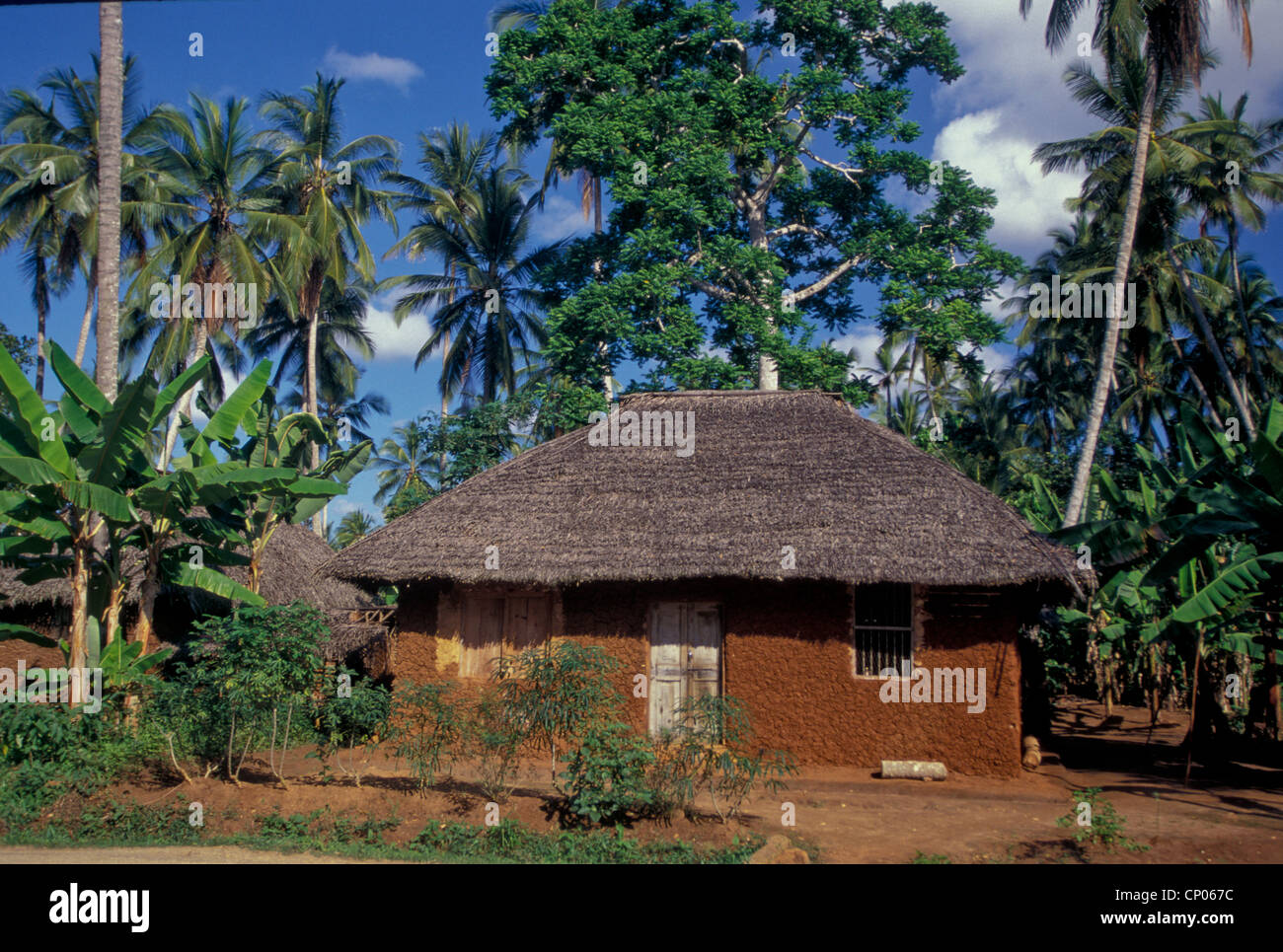 Traditional thatched roof mud village house on island of Zanzibar Stock