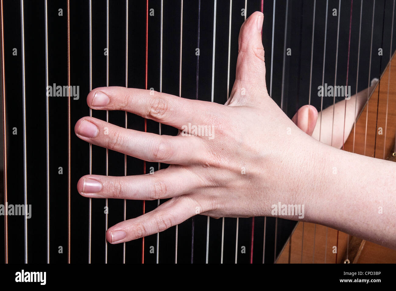 Irish Woman Playing A Harp Stock Photo Alamy