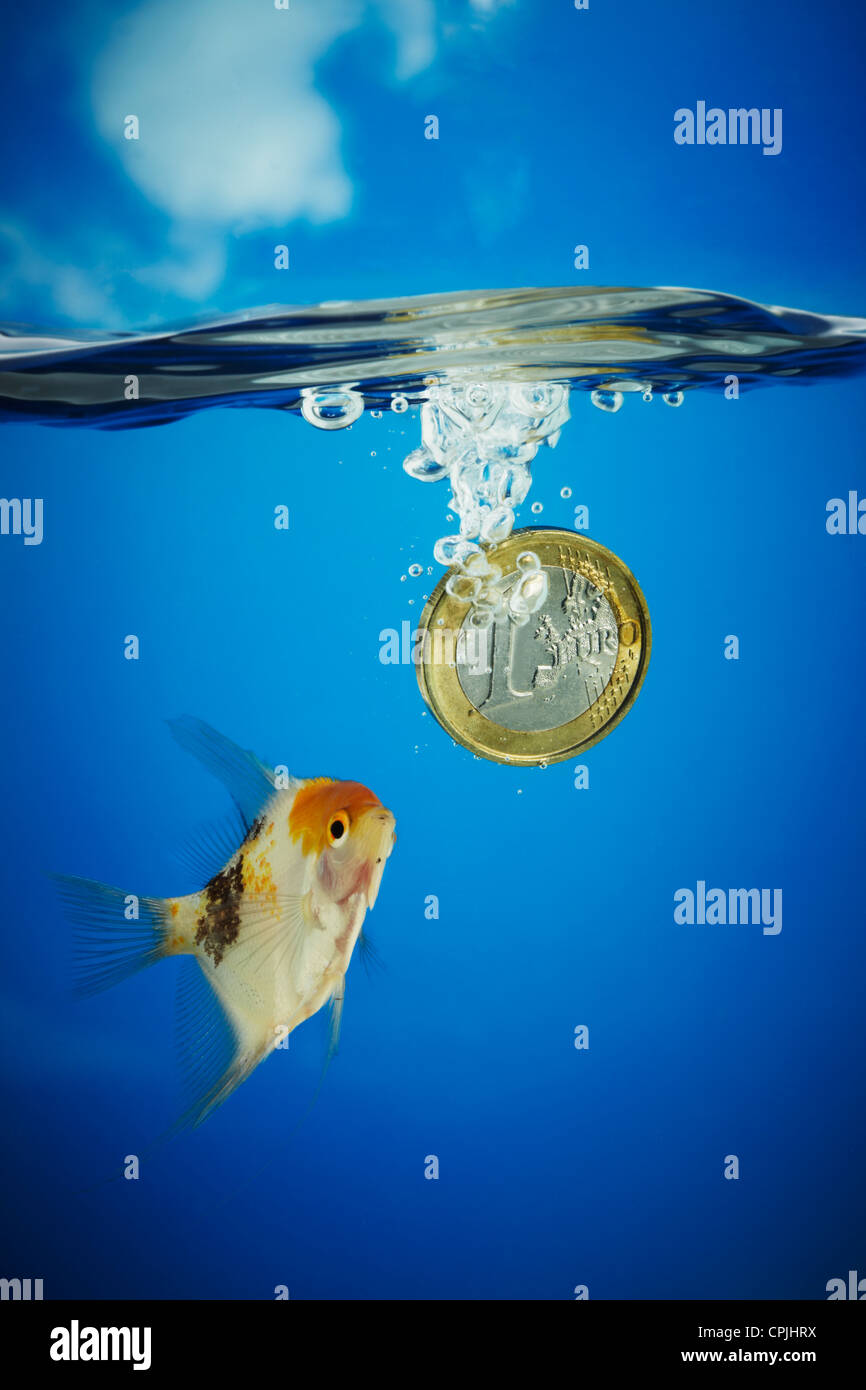 1 Euro Coin Sinking In Blue Water Stock Photo Alamy