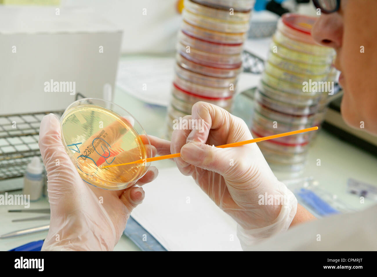 BACTERIOLOGY Stock Photo, Royalty Free Image 48400768 Alamy