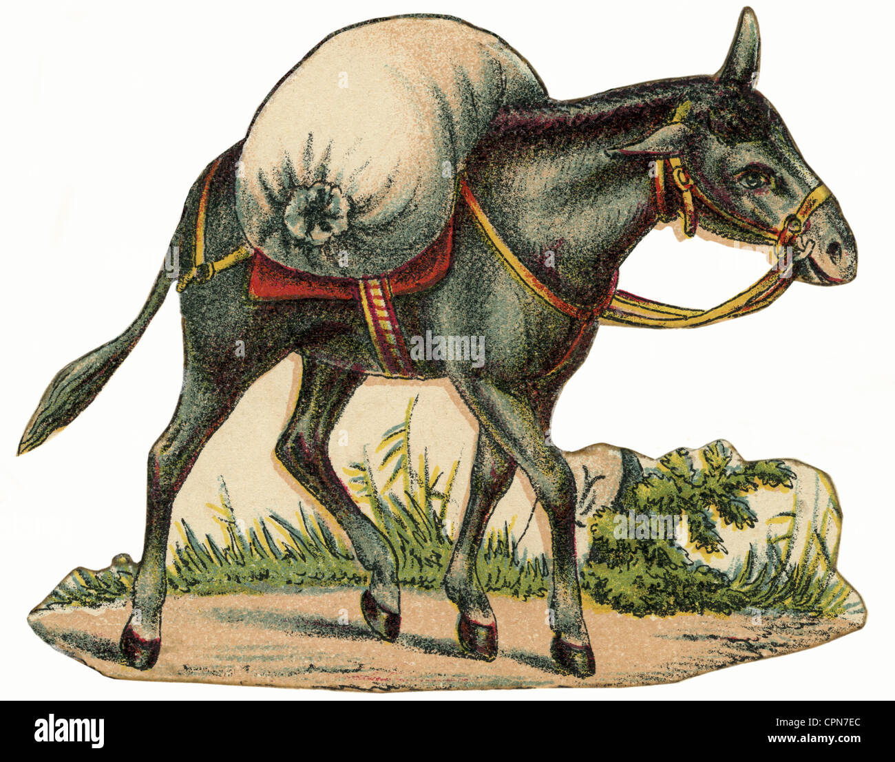 trade, transportation of goods, pack donkey with sack of flour Stock