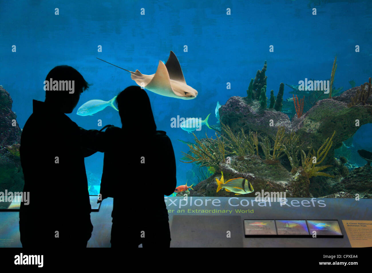 New York Aquarium in Brooklyn New York Stock Photo, Royalty Free Image