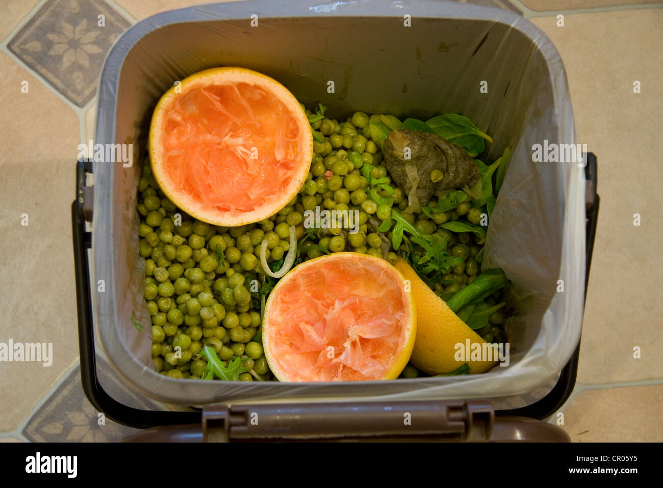 Food Waste in Council Bin Stock Photo, Royalty Free Image 48562505 Alamy