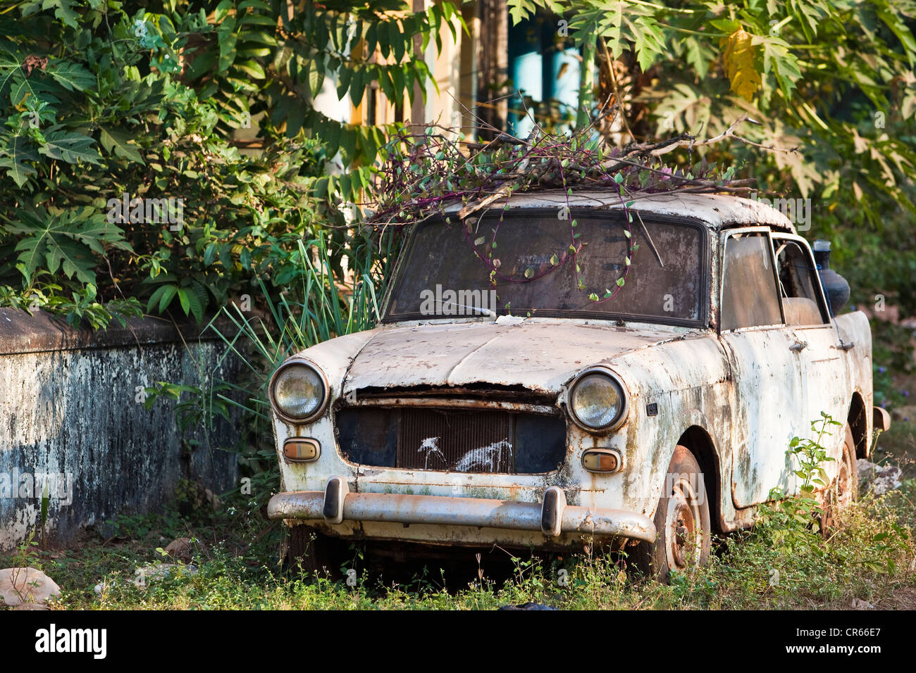 India, Goa State, Panaji (or Panjim), the capital state, old car in