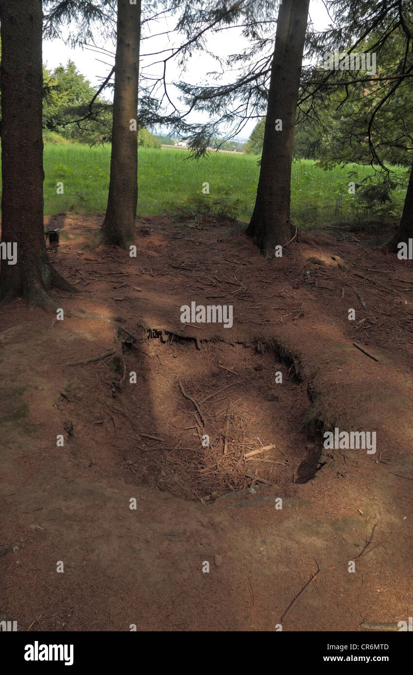 02.05 thesis statements image 9