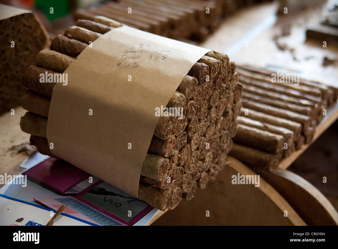 Bundled cigars in the El Sitio cigar factory, Brena Alta, La Palma