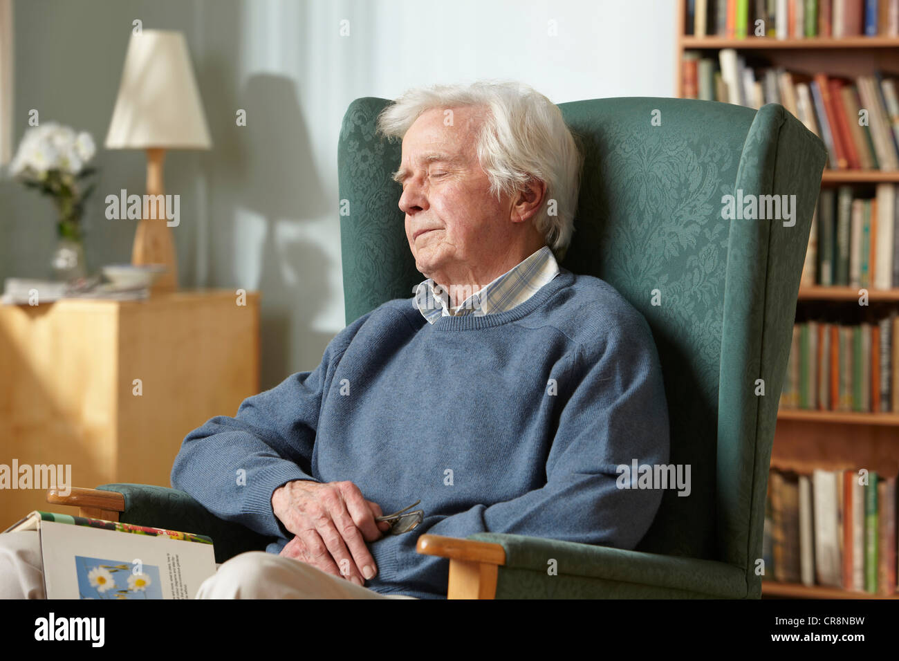 Senior Man Sleeping In Armchair Stock Photo 48750237 Alamy