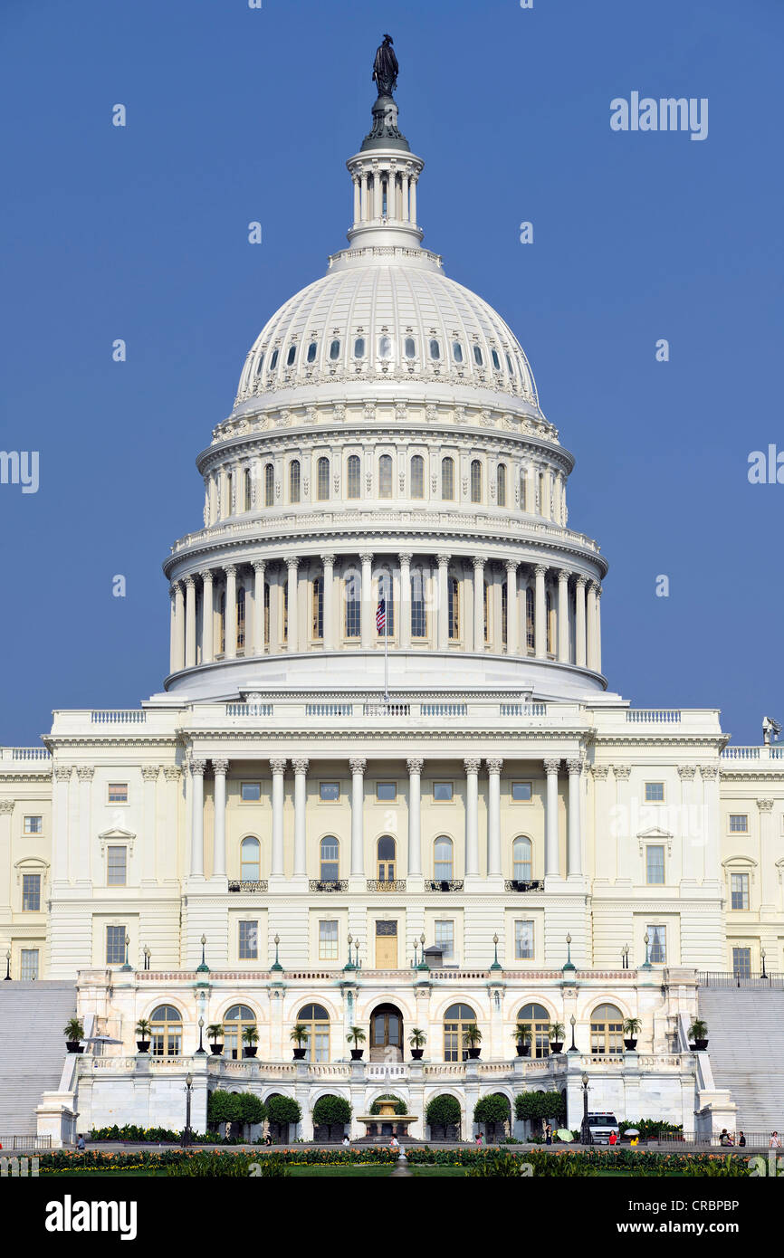 Dome, rotunda, Statue of Freedom, United States Capitol, Capitol