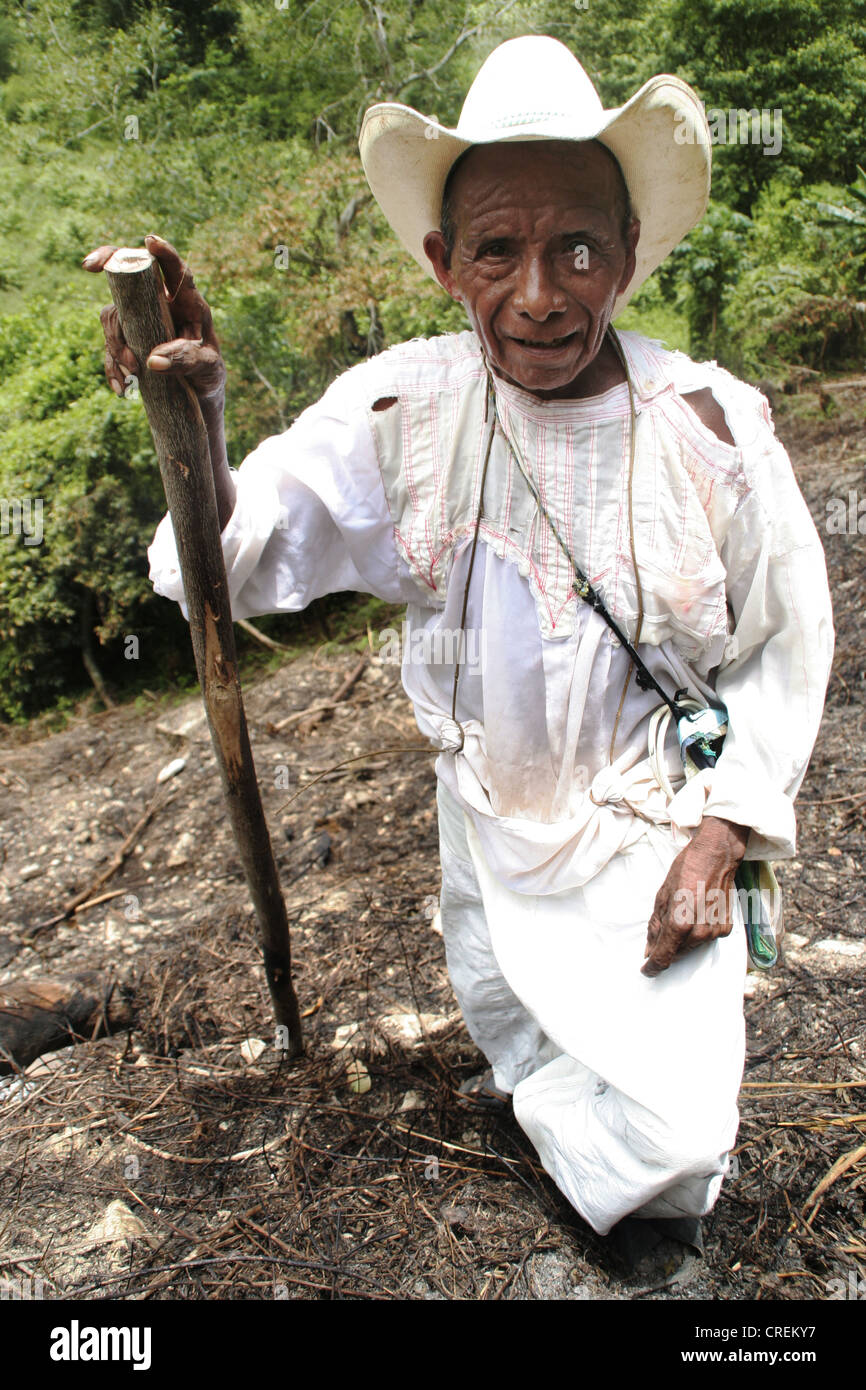 indian farmer in traditional white clothing working on the field Stock