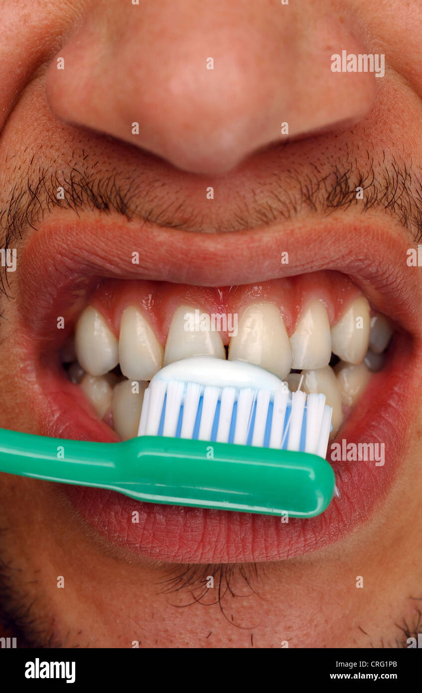 A young man brushing his teeth with toothpaste. Regular brushing of