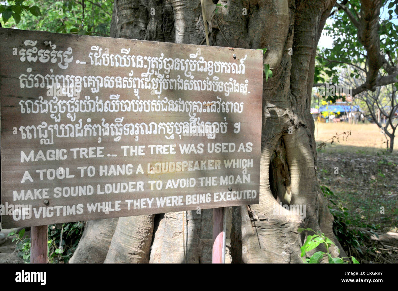 the killing fields in cambodia essay In cambodia, pran has become a forced laborer under the khmer rouge's year zero policy, a return to the agrarian ways of the past pran labors in rice fields under the watchful eyes of armed young children of both sexes, whom the khmer rouge hold in high regard as the future leaders of their regime. the killing fields in cambodia essay In cambodia, pran has become a forced laborer under the khmer rouge's year zero policy, a return to the agrarian ways of the past pran labors in rice fields under the watchful eyes of armed young children of both sexes, whom the khmer rouge hold in high regard as the future leaders of their regime.