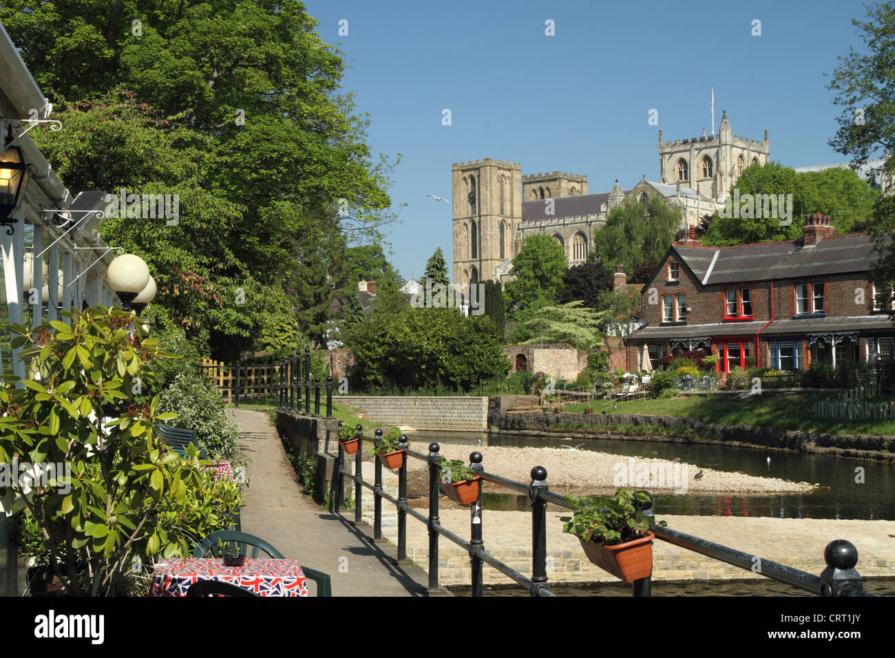 dating sites in north yorkshire