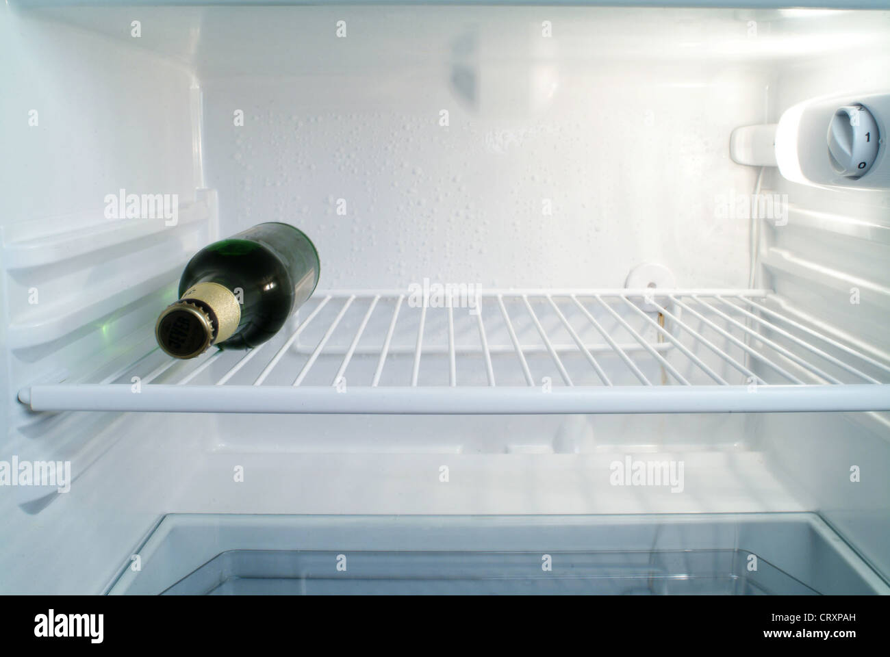 How To Keep Beer Without A Fridge at Terry Munoz blog