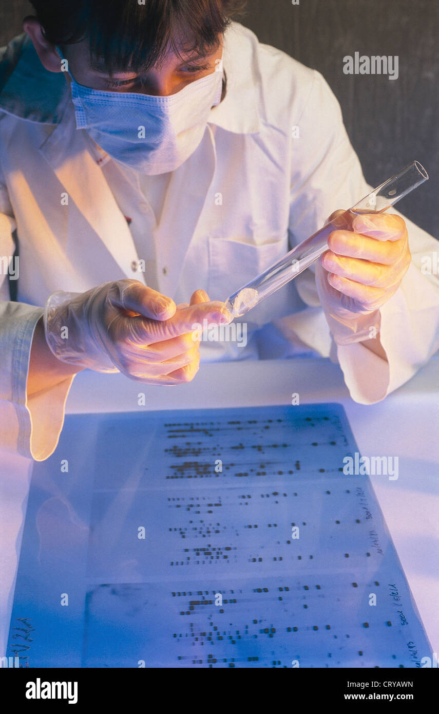 Human Dna Mapping Hi Res Stock Photography And Images Alamy