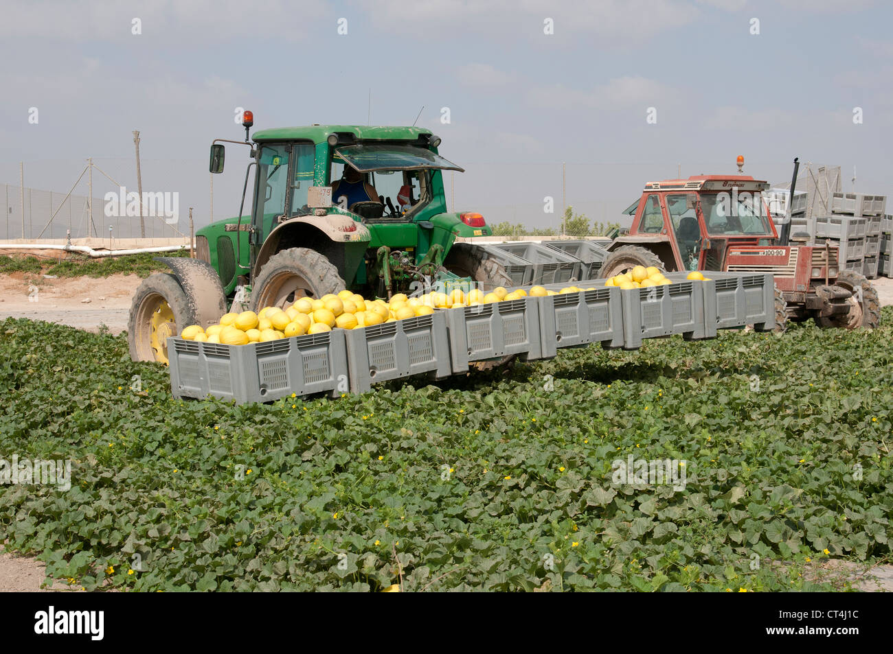Melon farming in the Murcia district of Southern Spain Tractor Stock