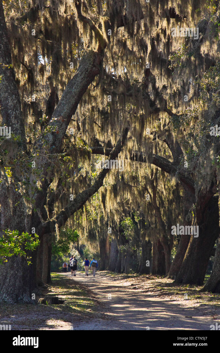 Carnegie Road Hi Res Stock Photography And Images Alamy