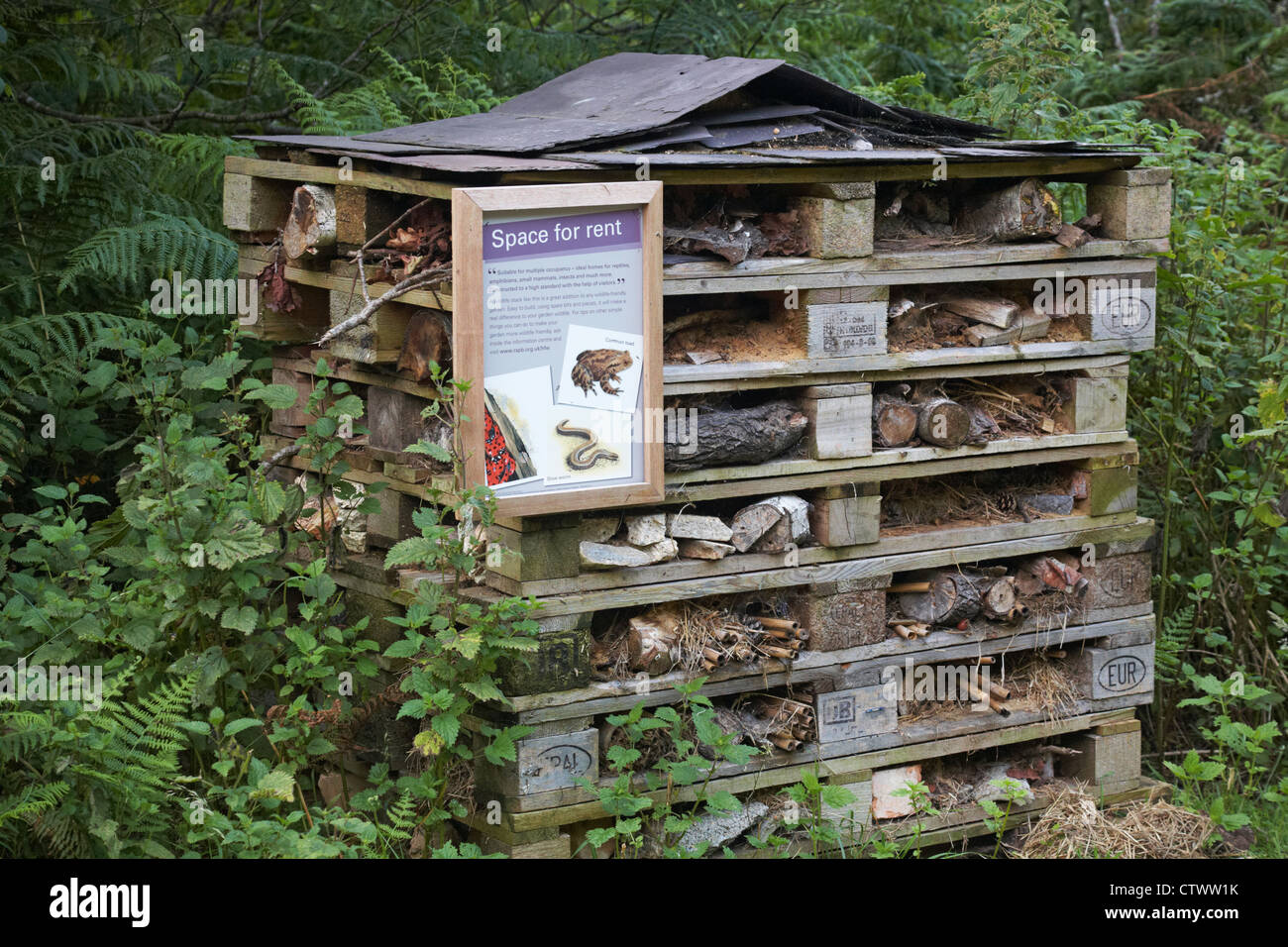 Space for rent - wildlife stack, a wildlife-friendly way to attract ... Space for rent - wildlife stack, a wildlife-friendly way to attract ...
