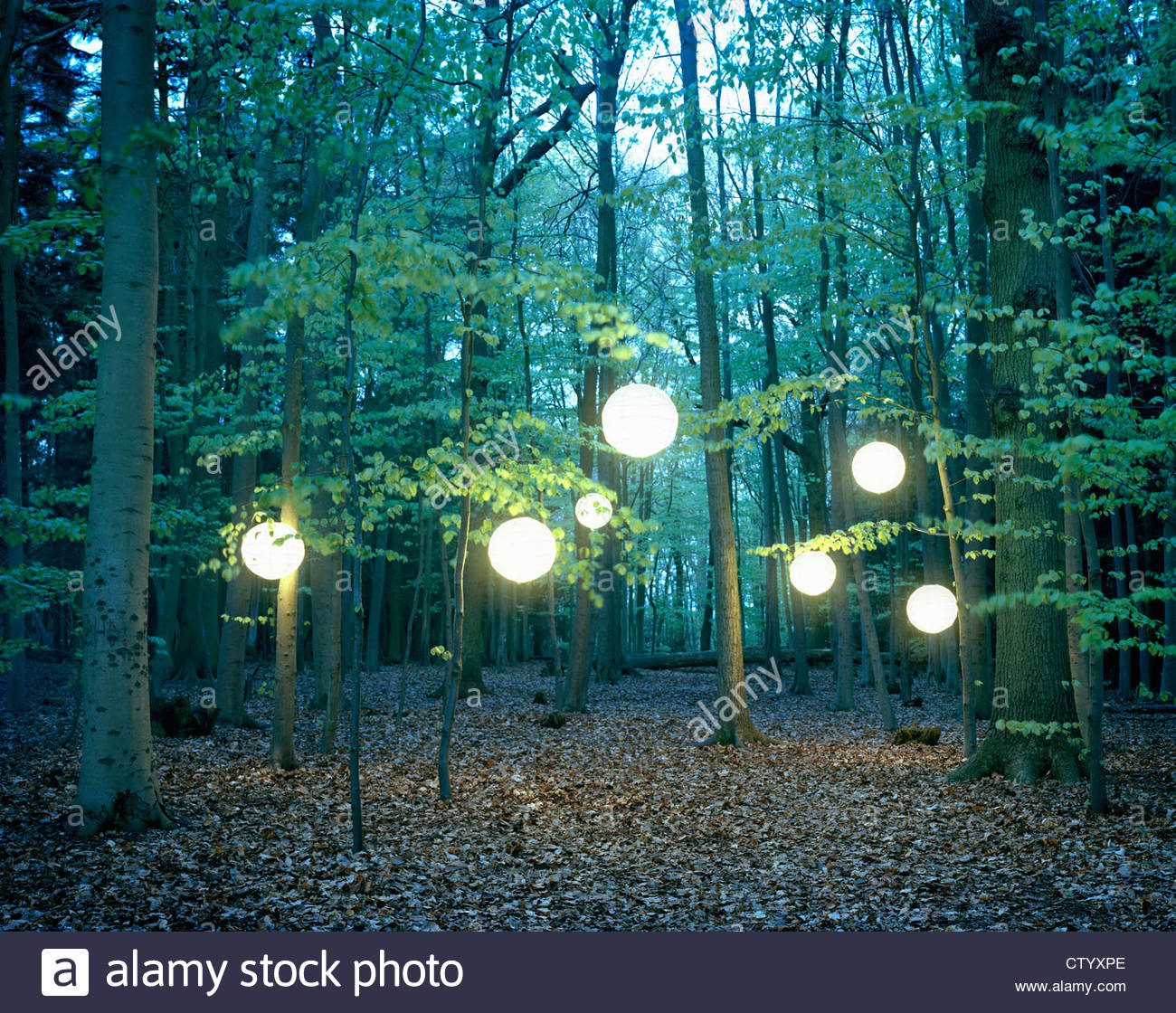 Lanterns hanging from trees in forest Stock Photo, Royalty Free Image