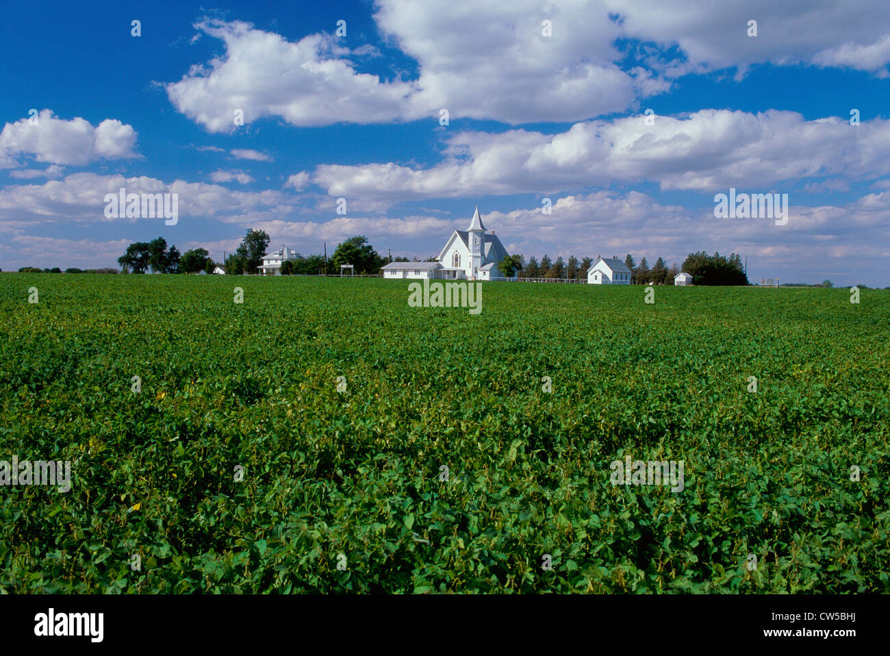 Marshall County Kansas USA Stock Photo, Royalty Free Image 49906014