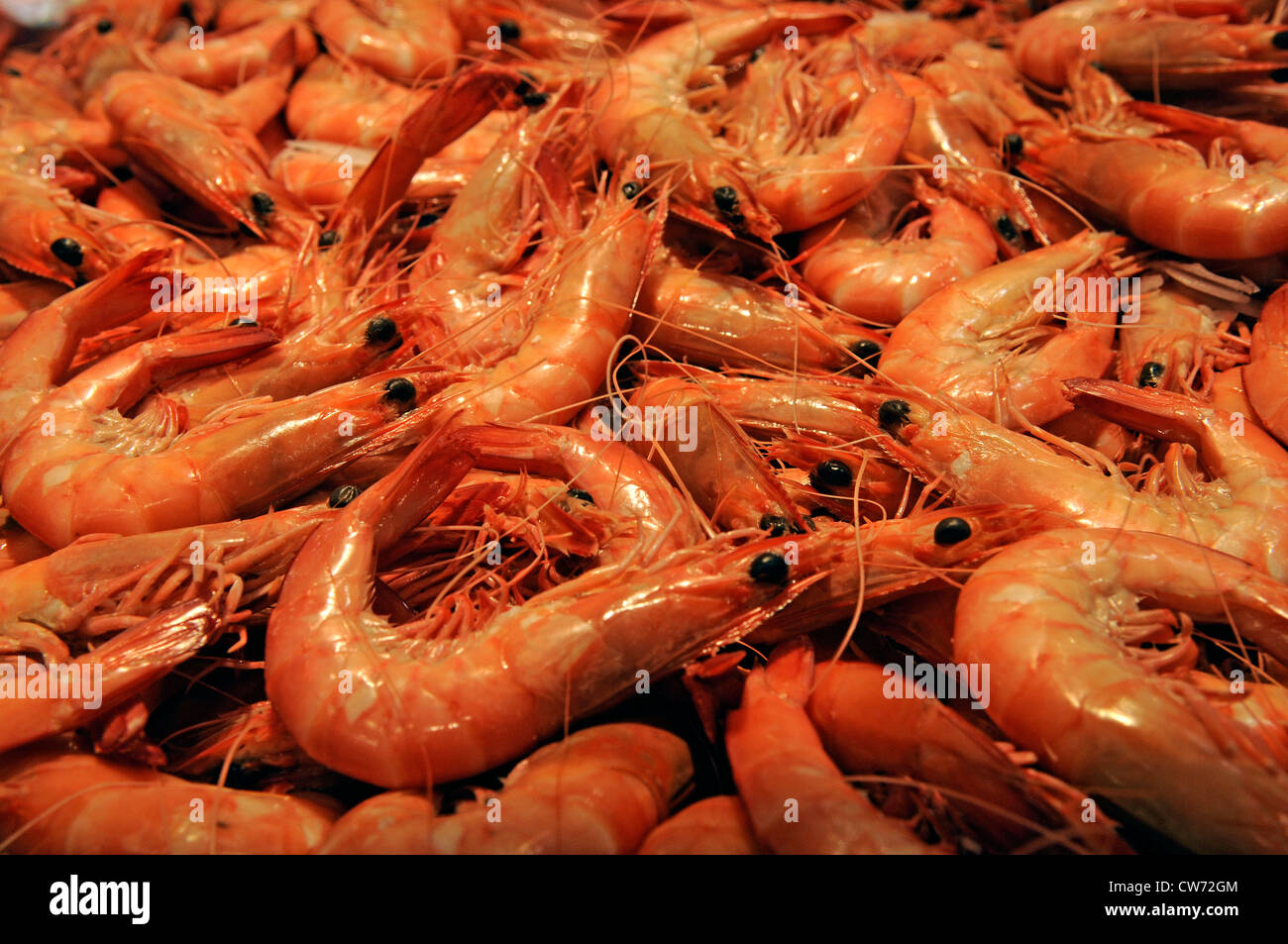 fresh king prawns at fish market, Australia, Sydney Stock Photo