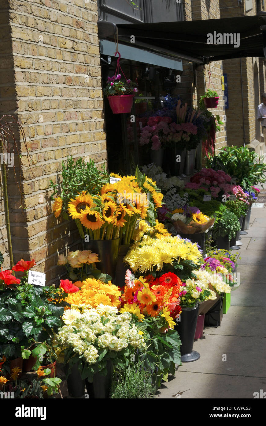 Flower display outside florist shop in Shad Thames. Southwark Stock