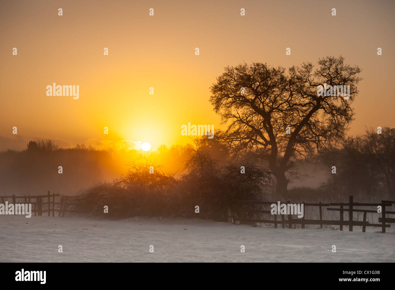 A_Winter_sunrise_over_a_snowy_misty_Brit