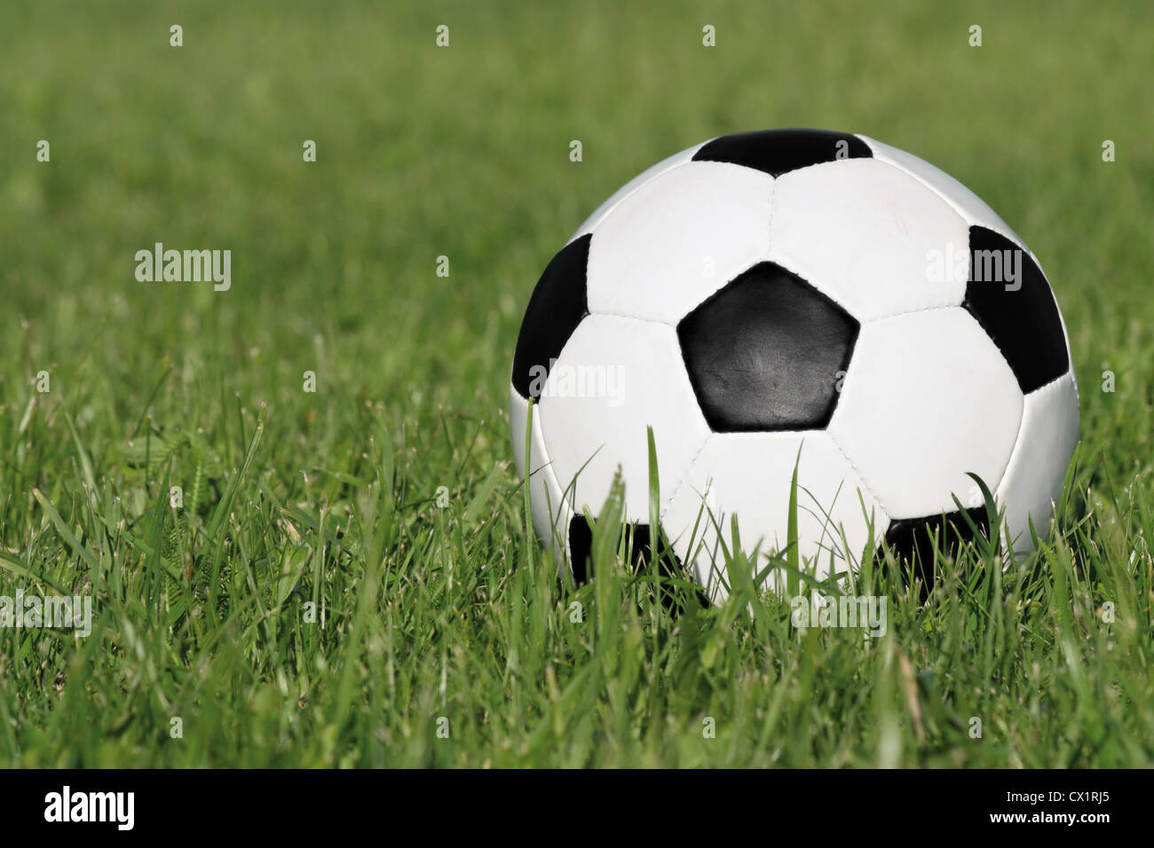 Classic Black And White Soccer Ball On Green Grass Stock Photo Alamy