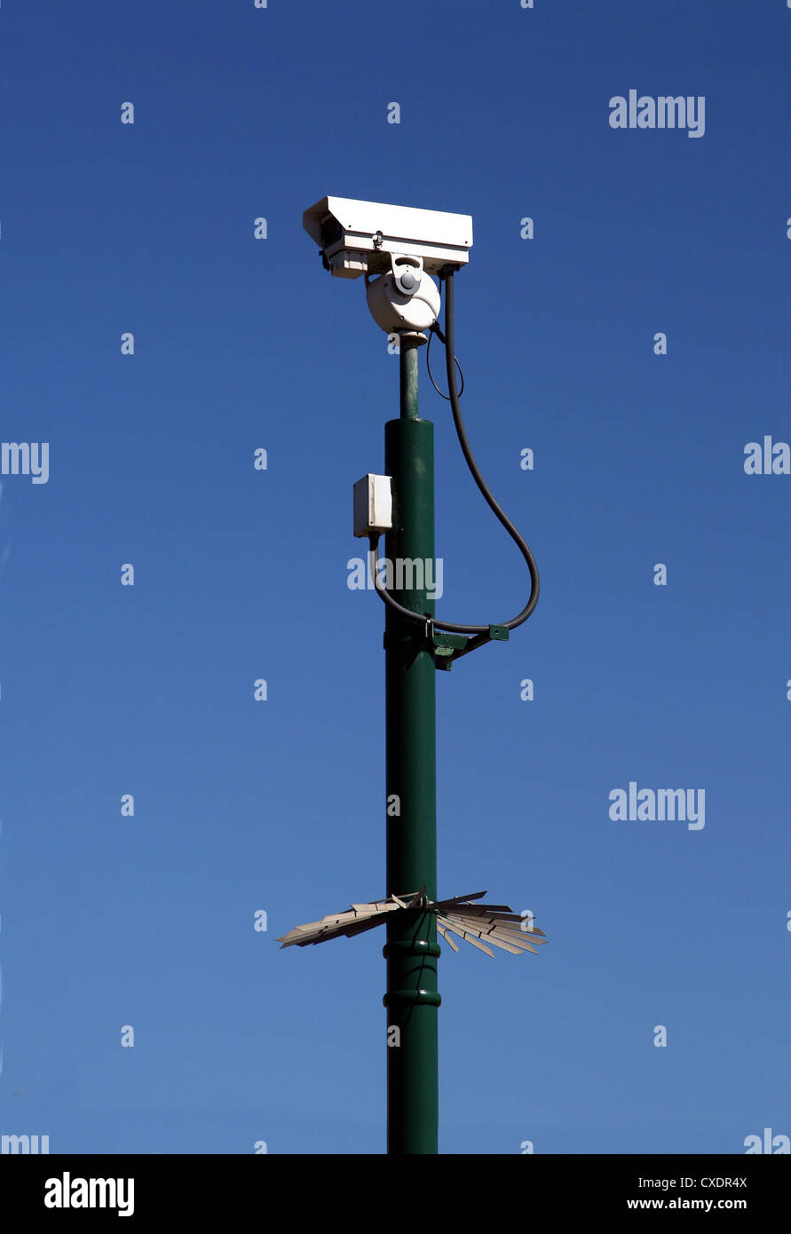 surveillance camera on pole Stock Photo, Royalty Free ...