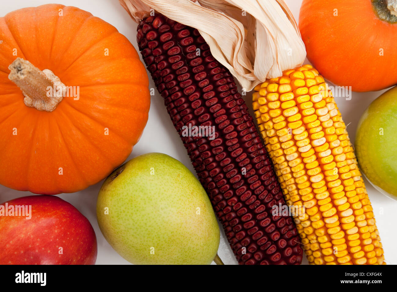 Gourds And Indian Corn Stock Photo Alamy