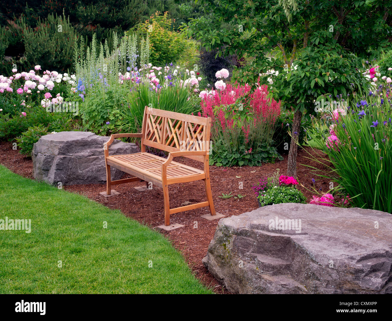 Peony garden and bench. Adleman Peony Garden, Salem, Oregon Stock Photo