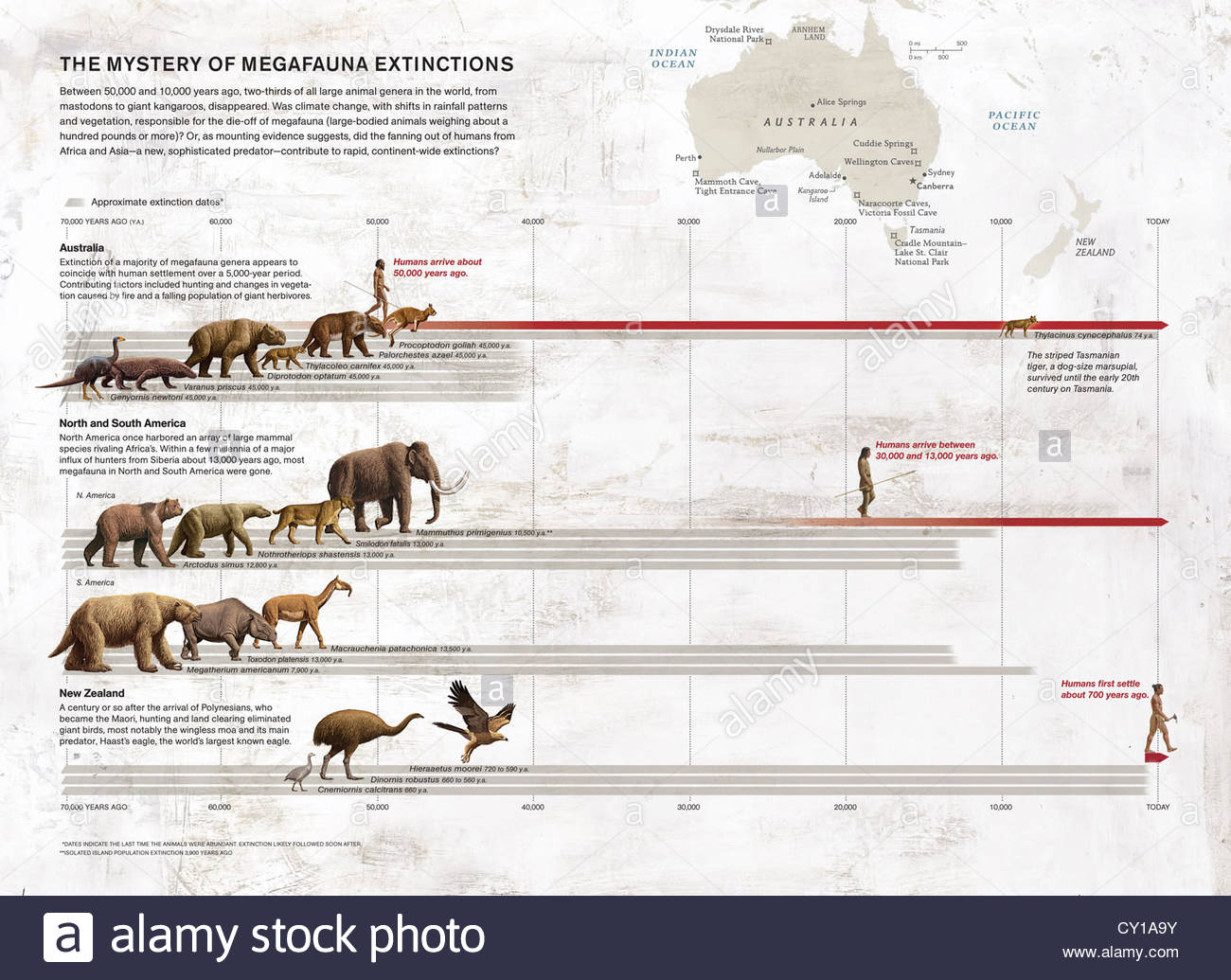 Megafauna Extinction On Australia North And South America And New megafauna-extinction-on-australia-north-and-south-america-and-new