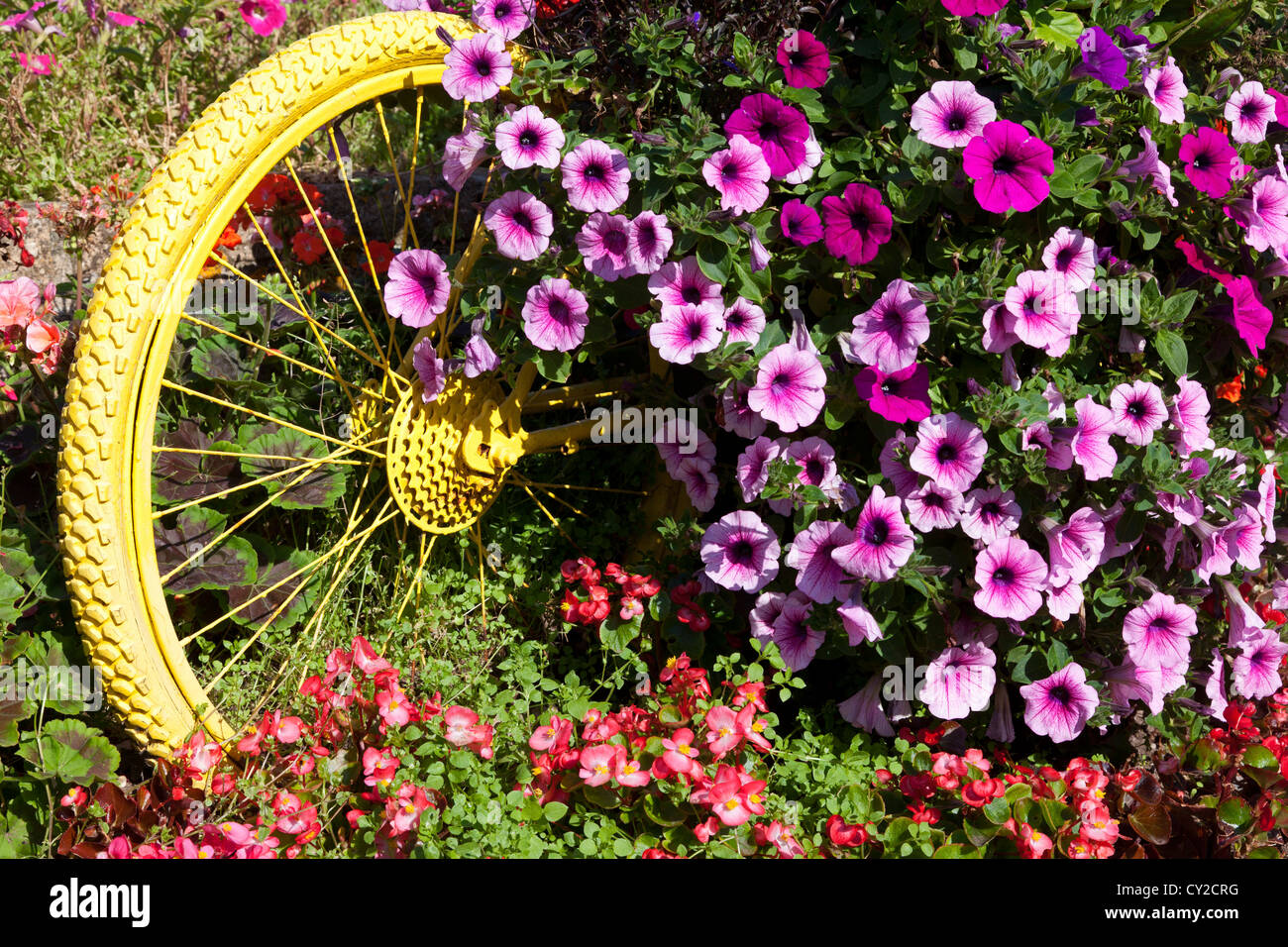 floral-display-including-painted-bicycle