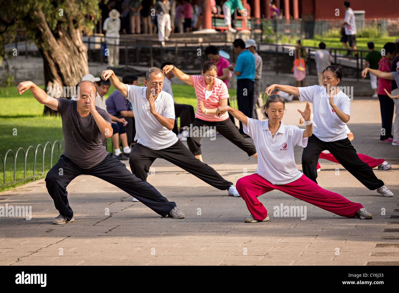 Chinese people practice tai chi martial arts exercise early morning