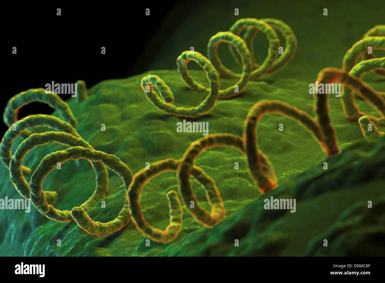 read The Biogeochemical Cycling of Sulfur and Nitrogen in the