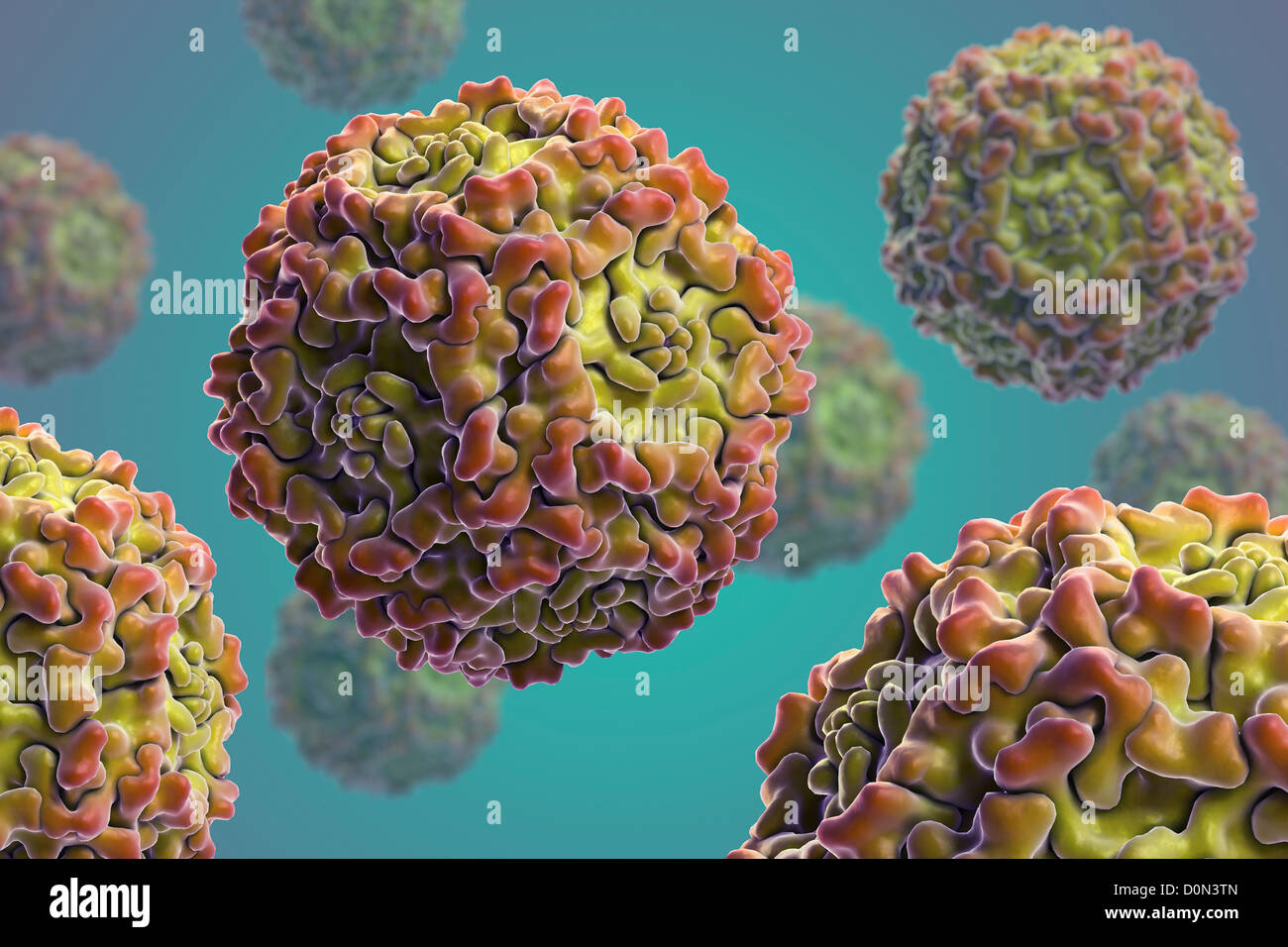 Fifth Disease - Human ParvoVirus B19