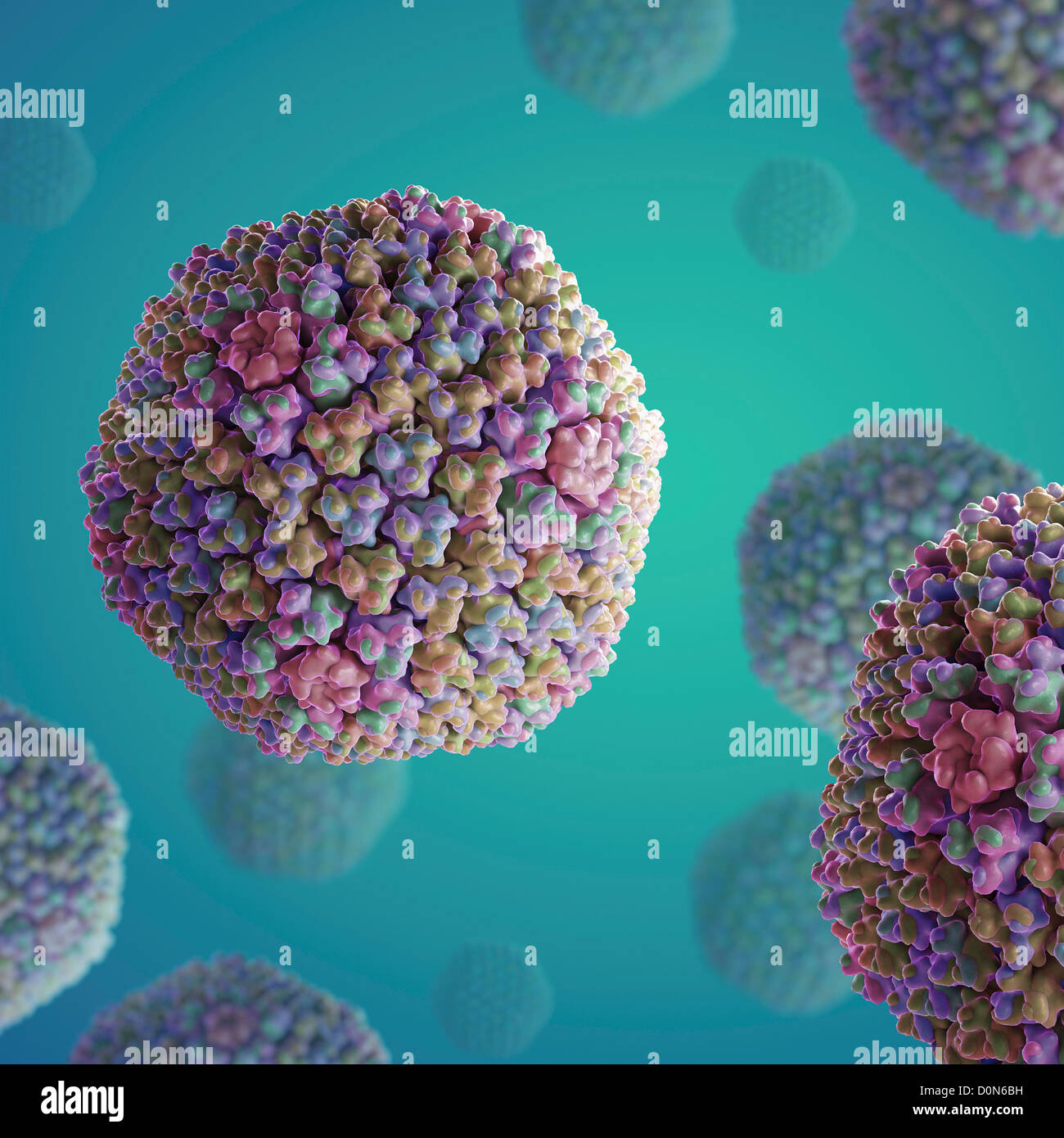 Structure Of Human Adenovirus PDB 3IYN Stock Photo Alamy