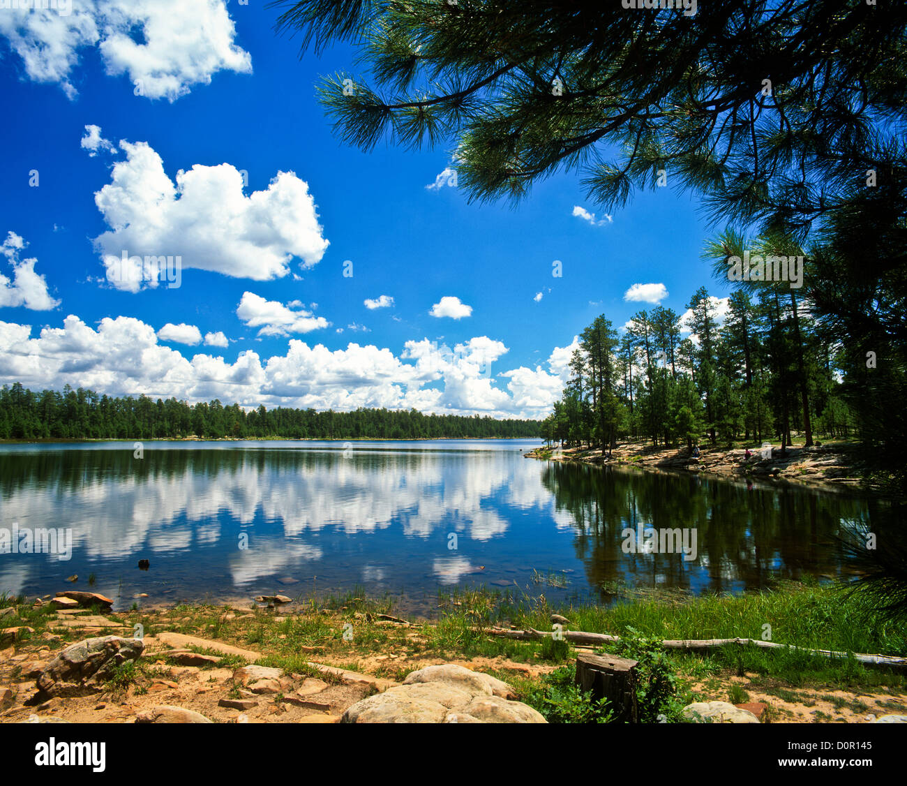 Willow Springs Lake on the Mogollon Rim. ApacheSitgreaves National