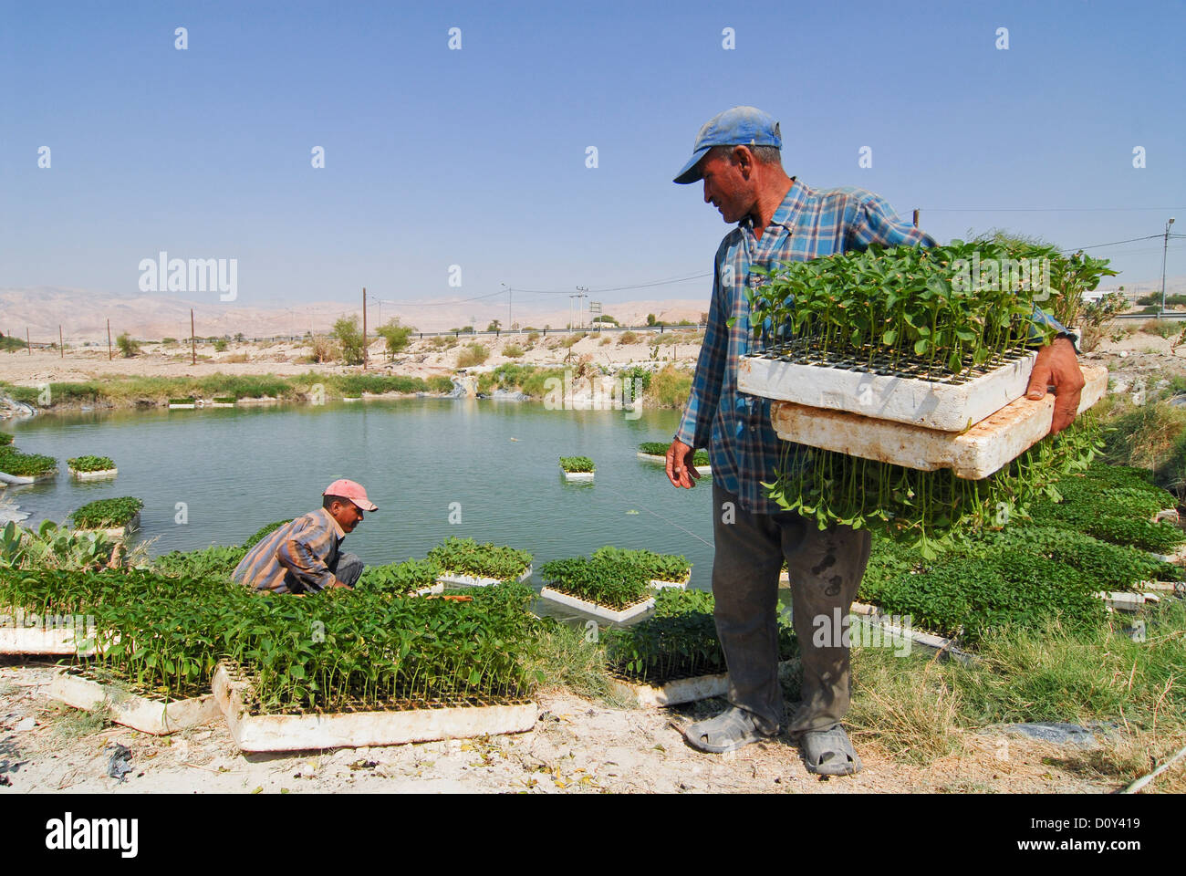 jordan valley agriculture jordan valley agriculture