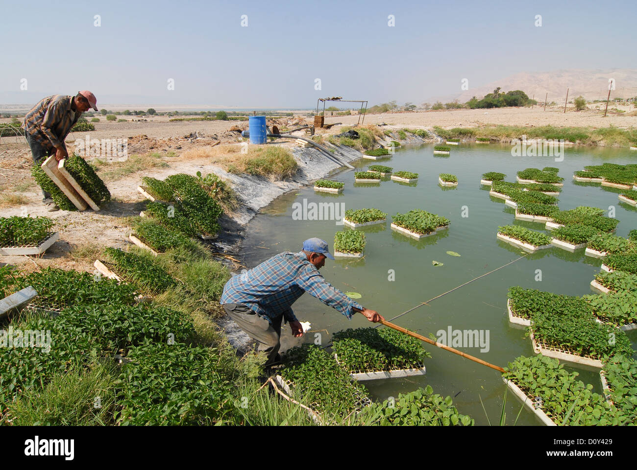 jordan valley agriculture jordan valley agriculture