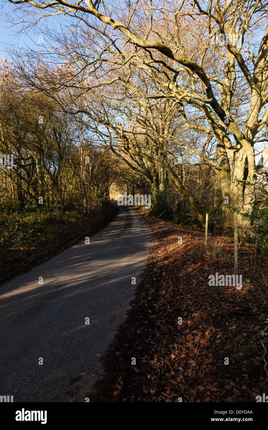 Views of the North Downs in Kent between Biggin Hill and Westerham