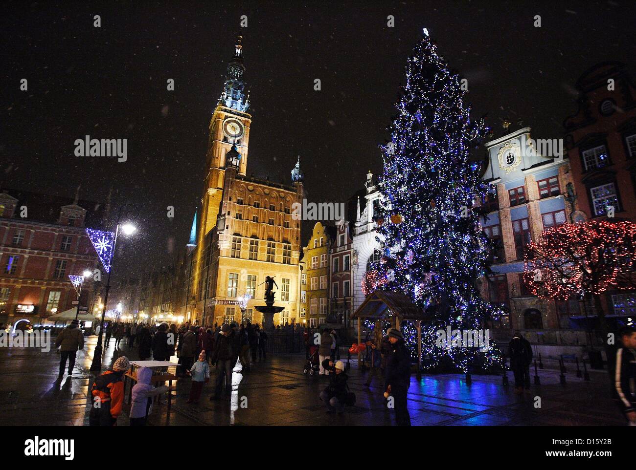 Gdansk, Poland 8th, December 2012 The tallest Christmas tree in Stock