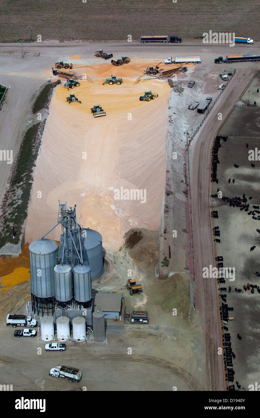 aerial photograph corn deliveries at cattle feedlot Nebraska Stock