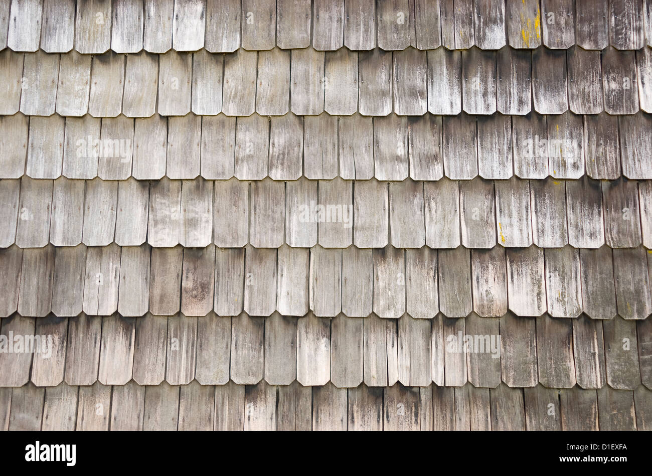 wall of larch wood shingles in chiloe chile stock photo royalty free image 52573902 alamy wall of larch wood shingles in chiloe chile stock photo royalty free image 52573902 alamy